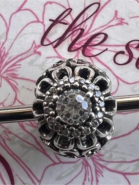 Authentic Pandora Floral Brilliance Charm #791260CZ